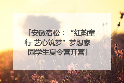 安徽宿松：“红韵童行 艺心筑梦”梦想家园学生夏令营开营